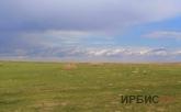Землю, предназначенную для выпаса скота сельчан, хотели отдать КХ в Павлодарской области
